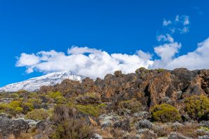 mountain kilimanjaro